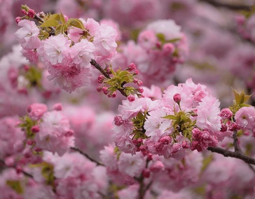 В честь праздников весны у нас есть скидки